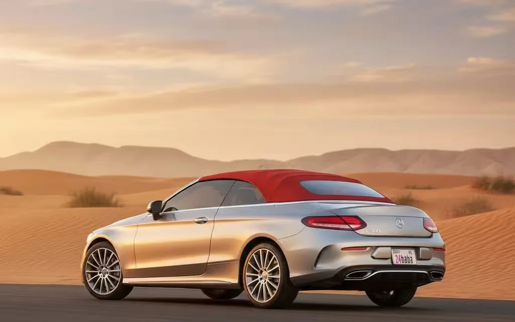 Mercedes C300 2020 Silver rear view showing taillights