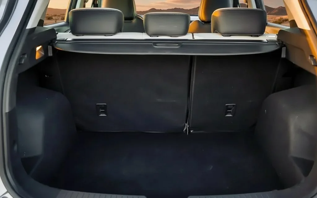 Jac Js4 2024 leather seats and cabin