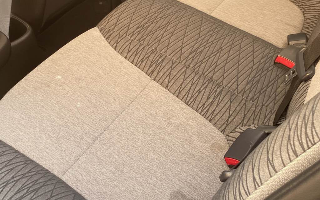 Kia Pegas 2020 leather seats and cabin